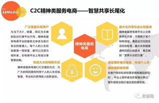 教育与精神消费双驱动 2017上半年中国精神类服务电商市场发展洞察